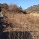 추부농장 이미지