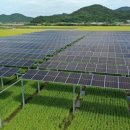 영농조합법인대륙(대륙제2태양광발전소) | 200MW 영농형 태양광사업 추진 절차 총정리…인허가부터 계통연계까지
