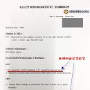 대한민국행정사 Daum카페