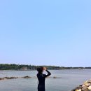 제주도 스킨스쿠버 물고기가 많은 입문 하기 좋은 제주스쿠버다이빙 찐 솔직후기