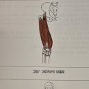 매곡동 주민센터 이미지