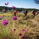 불곡고등학교 이미지