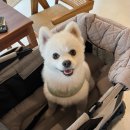 카페퉁이 네이버블로그