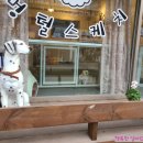 멍헤어 애견미용실 이미지