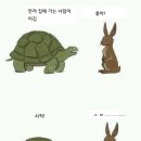 토끼와거북이 이미지