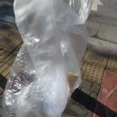 카페꽃길 이미지