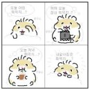 델리지오