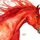 피티찬스 이미지