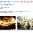 오지다라이프 이미지