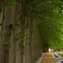 황등면-05 이미지