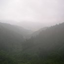 윗사기막 이미지