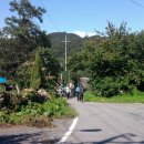 대평1리마을회관 이미지