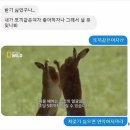 (일본)여자들이 남자를 차버린 사소한 이유들 이미지