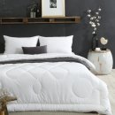 일광세탁 이미지