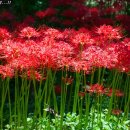 좋은아침 이미지