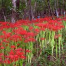 용천사입구 이미지
