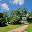 솔빛공원 이미지