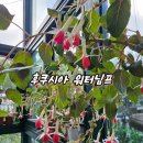 피고지고 피고지고~~ 이미지