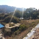 양사면-3 이미지