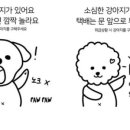 파우파우(PAW PAW) 이미지