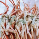 미정축산 이미지