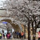월드컵경기장 주변 뒷길 이미지