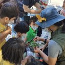 진건초등학교(병설) 이미지