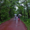 숲속 당구 이미지