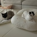 (주)다온 | 다온미래 산후조리원 6박 7일 후기