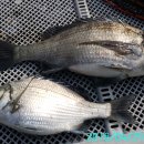 유촌2호 이미지