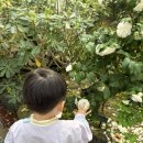 능현유치원 이미지