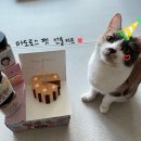 (유)마도로스펫 | [마도로스펫]신제품 선물키트 찐후기 모음집