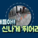 아이태권 이미지