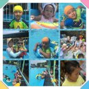 정환목장 이미지