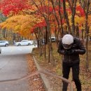 리벤씨 네이버블로그