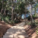 천관산 산행기