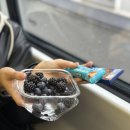 소풍가는날 민박 이미지