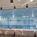 성성파인트리 수영장 이미지