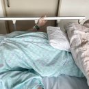 서울준동물병원 | 이대서울병원 쌍둥이 제왕절개 출산 후기(2) : 84병동 1인실 입원 기록, 비용