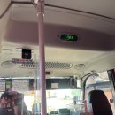 세븐일레븐 강릉금진해변점 | [국내여행] 강릉에서 금진해변 대중교통으로 가는방법 (뚜벅이)