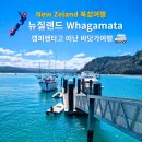 은혜주유소 | 뉴질랜드 북섬 캠퍼밴 여행: 왕가마타(Whangamata )바다에서 즐긴 피크닉과 낚시