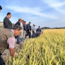 옹진군농업기술센터 이미지