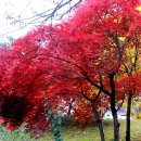 해인사터미널주차장화장실 이미지