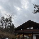 [광주/곤지암] 오르빛 정원 당일치기 겨울 글램핑 후기❄️- 부모님이 만족하는 곤지암 리조트 코스
