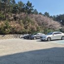 부산골프 칼리지 이미지