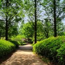 원당근린공원 이미지