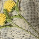 뽀댕뽀댕 이미지