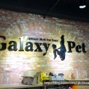 갤럭시펫 애견미용 이미지