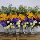 행정법률 인연 행정사사무소 이미지