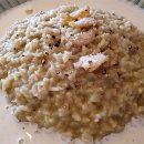 고향연화 이미지